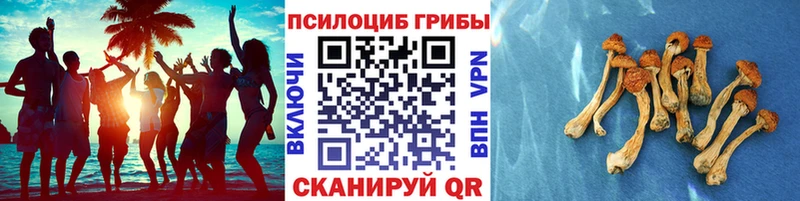 Псилоцибиновые грибы Magic Shrooms  наркота  Ветлуга 